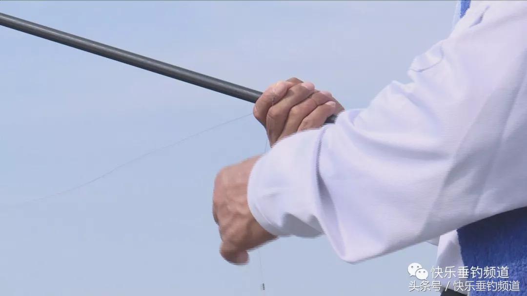 草鱼用什么鱼饵最好钓秋季,秋季黑坑钓草鱼怎么选位置