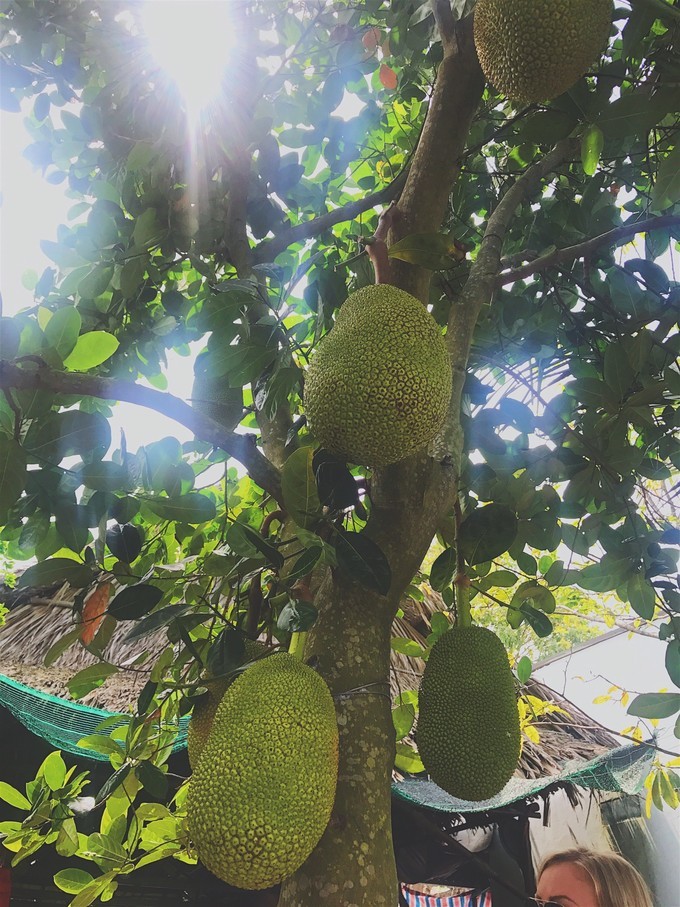 越南由南到北旅游方式,5000元越南8天7晚旅行全攻略