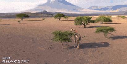 无人机大疆mavicair2全方位体验,大疆无人机mavic2pro哪个版本好