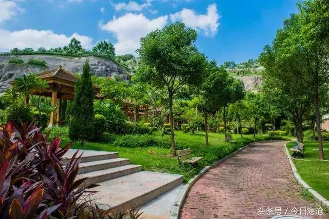 厦门海沧最好的中学,厦门市海沧区重点中学