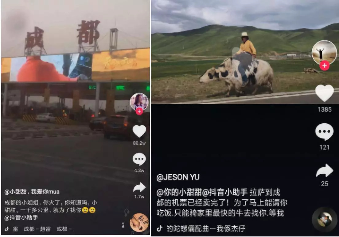 如果成都小甜甜补充一句“带我吃米其林”，直男们就笑不出来了