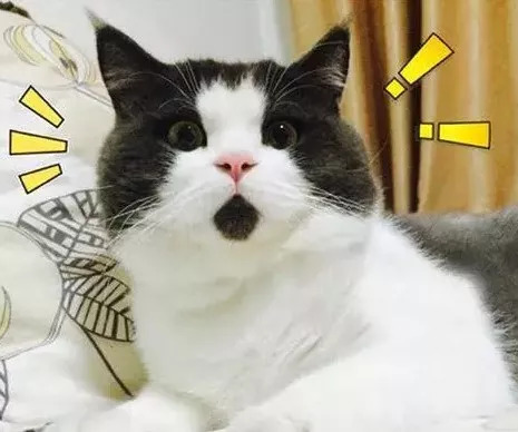 长春轨道3号线各站首末时间表,长春轨道交通3号线与2号线换乘