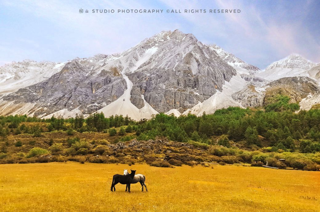 老子不上班请假去稻城,9月不上班了句子