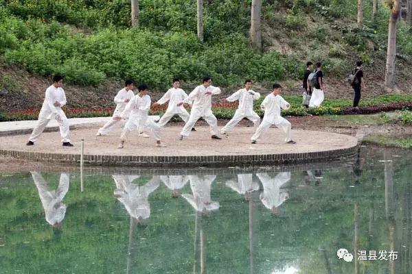 陈家沟景区是国家级的吗,陈家沟景区2021免费通告