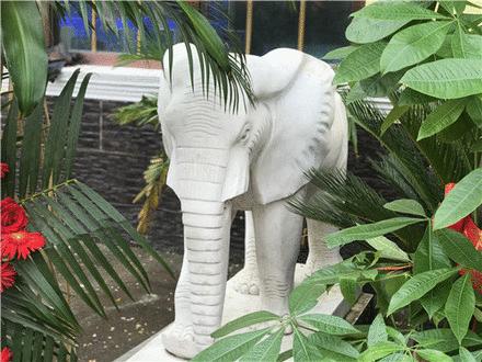 太原口碑最好的粤菜餐厅,湘粤餐厅