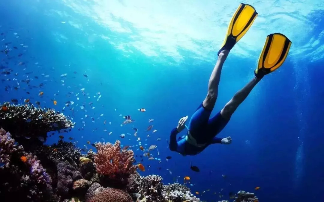 又挖到一个小众旅游的宝地美到哭,又挖到一座小众绝美海岛