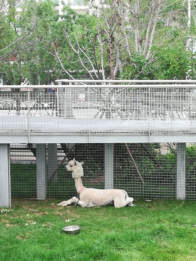 秦皇岛南戴河遛娃好去处,秦皇岛北戴河南戴河亲子游