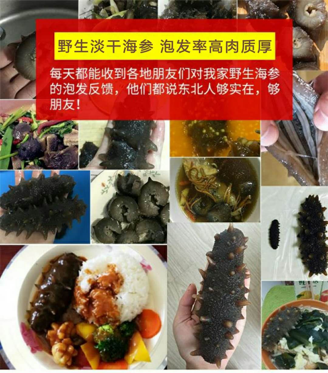 太热情，应邀来给大家介绍下家乡大连长海野生海参和当地生活！