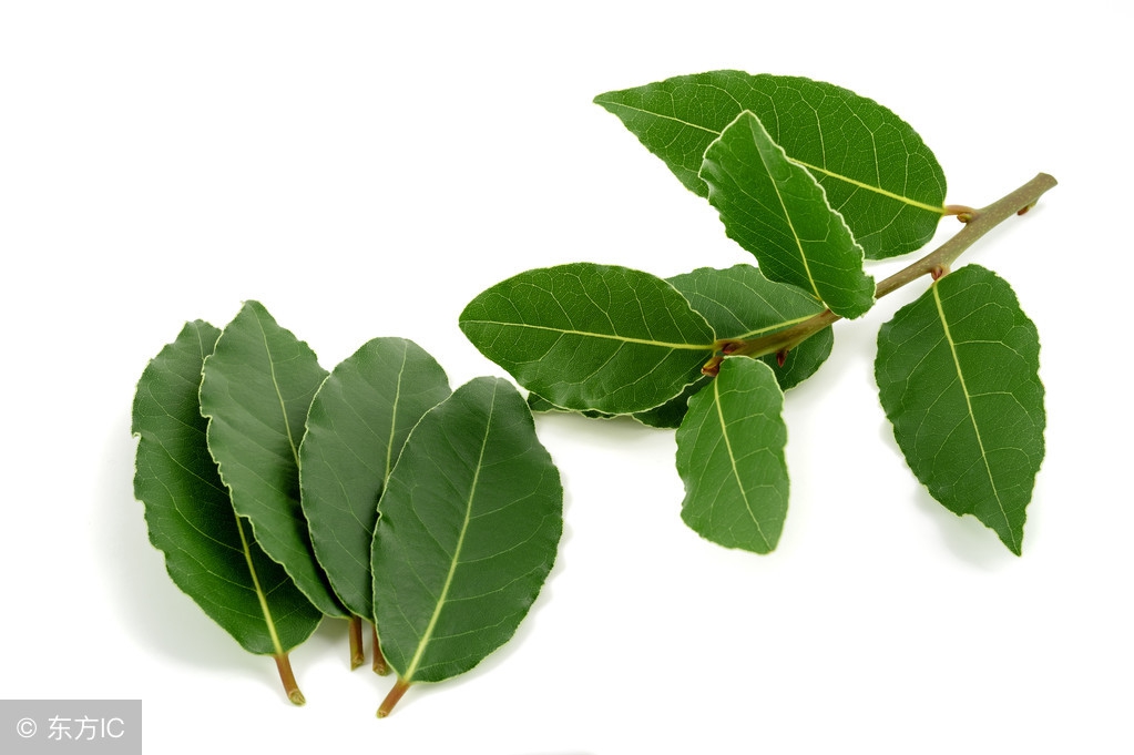 凉席螨虫咬人怎么去除,夏季凉席会造成螨虫过敏吗