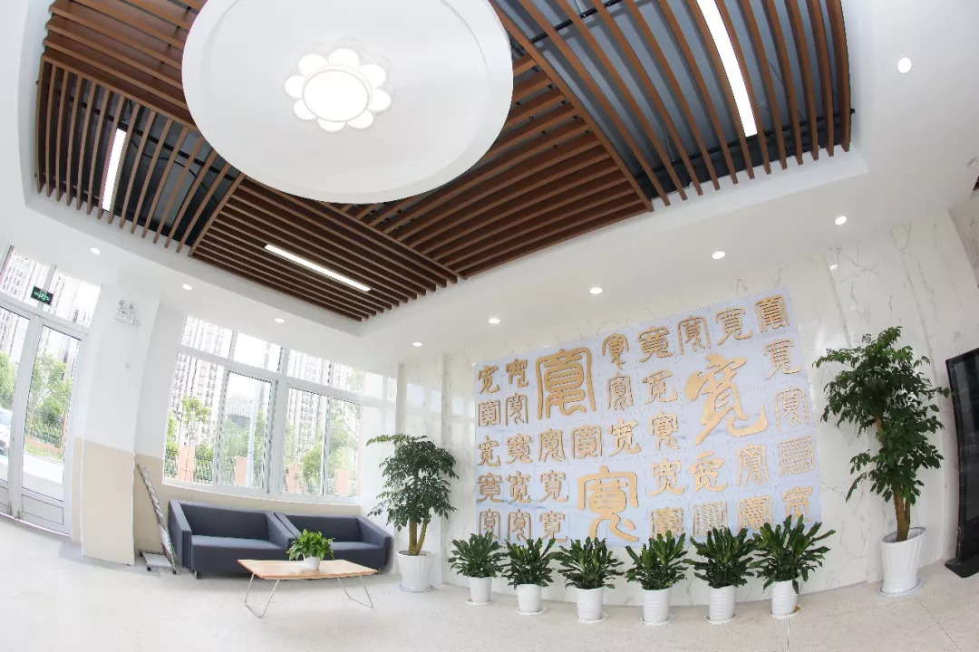 浦东新增10所重点小学,浦东新区区重点小学