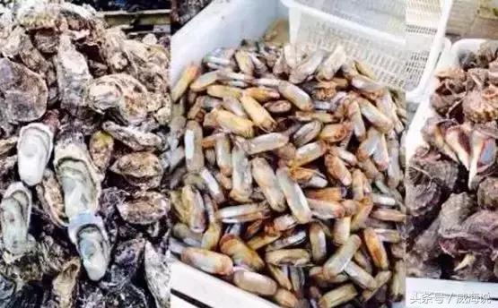 炫富卖海鲜的,威海开海去哪买海鲜