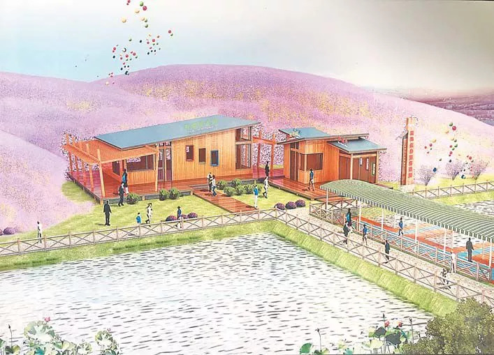 义乌彩色花海景点介绍,义乌梯田花海