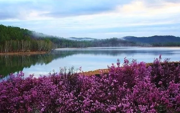 词风雅韵作品,词风雅韵浪淘沙