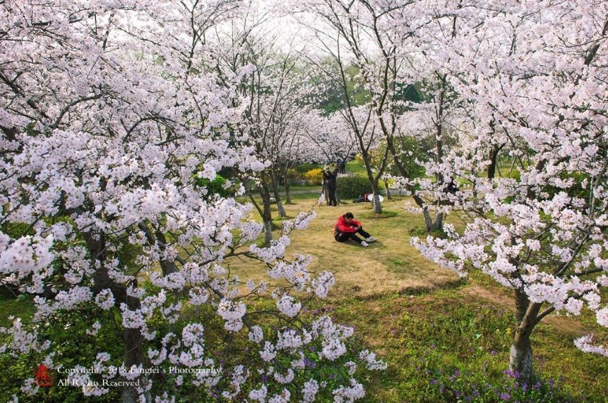 作为一个成年人活得真累,在南京生活的真实感受