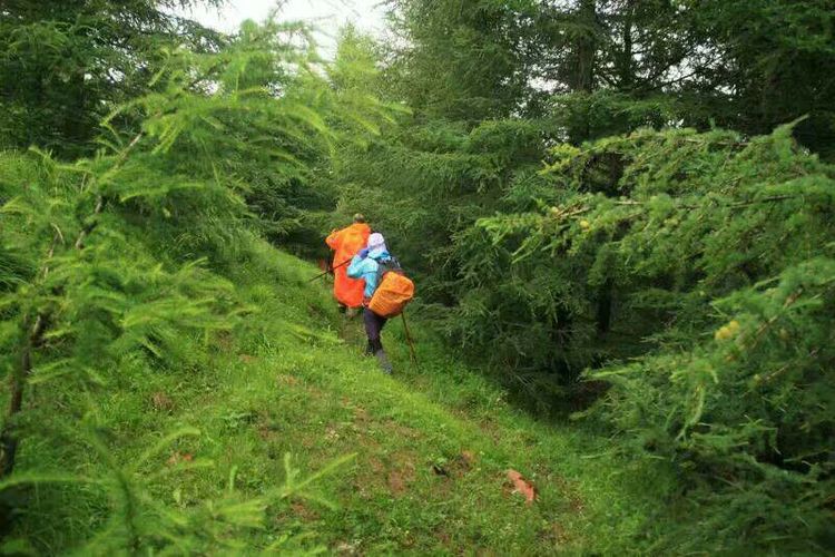 别样朝台路（繁峙古北台）