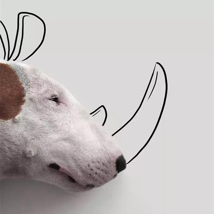 牛头梗的简笔画,牛头梗简笔画