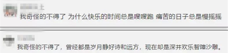 「金句」他们都说“我奇怪的不得了……”蜀黍：同感+1，没毛病！