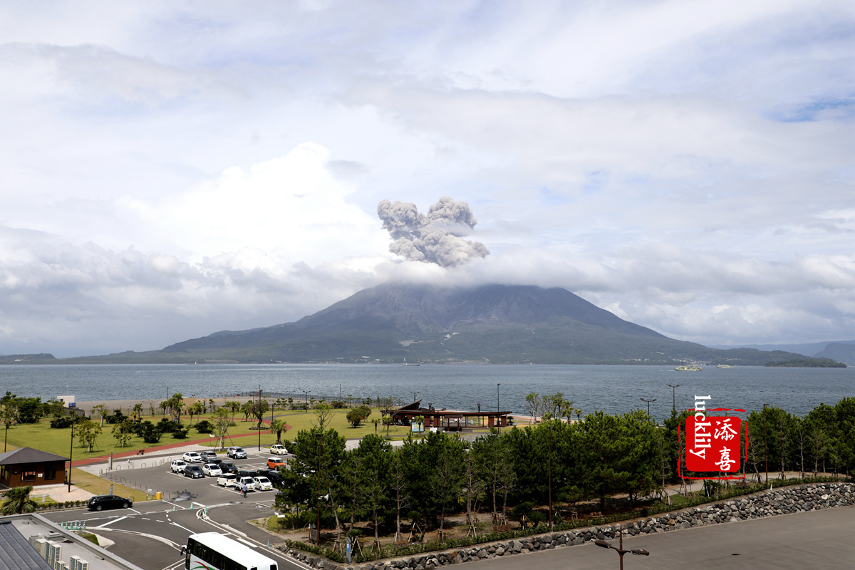 丽星邮轮双子星日本游,亲子游轮旅行攻略