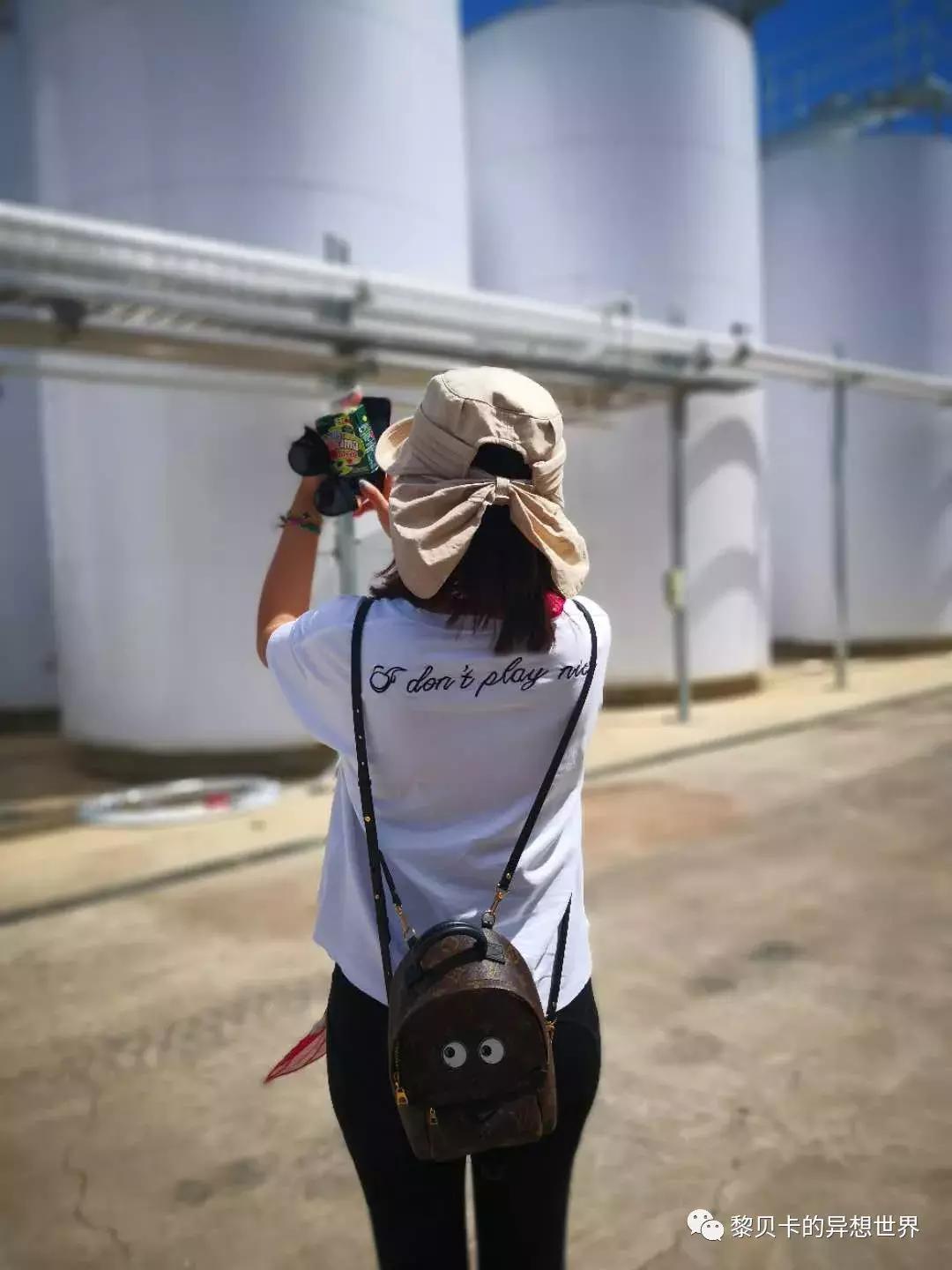 如果这辈子只能选3辆车你选哪3辆,假如这辈子只能买一只包