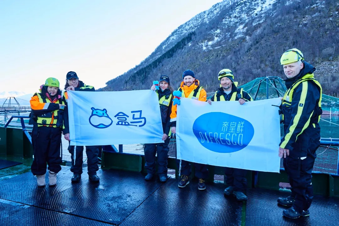 盒马有什么可以加工的,盒马当下阶段的挑战是什么