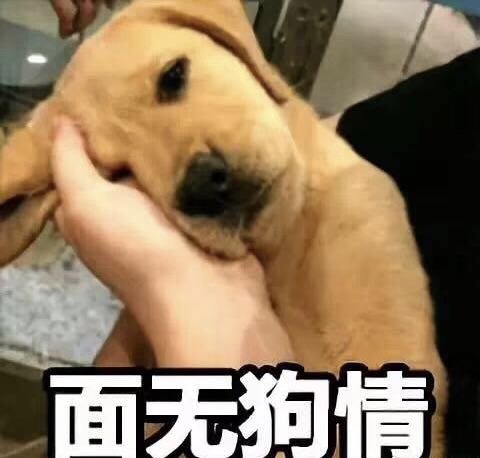 月入千万的情感女作家咪蒙，老公出轨被离婚，网友竟然欢呼