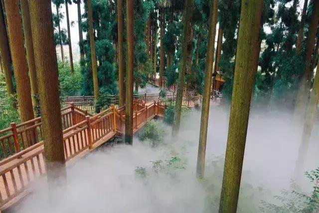 鍥涘窛楂橀搧鐩磋揪宸濊タ鏃呮父鏅偣,鎴愰兘2.5灏忔椂鐩磋揪鍘熷妫灄