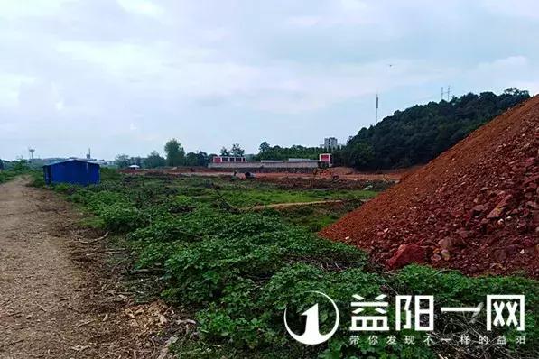 益阳青龙洲大桥连接s308,益阳龙山大桥规划