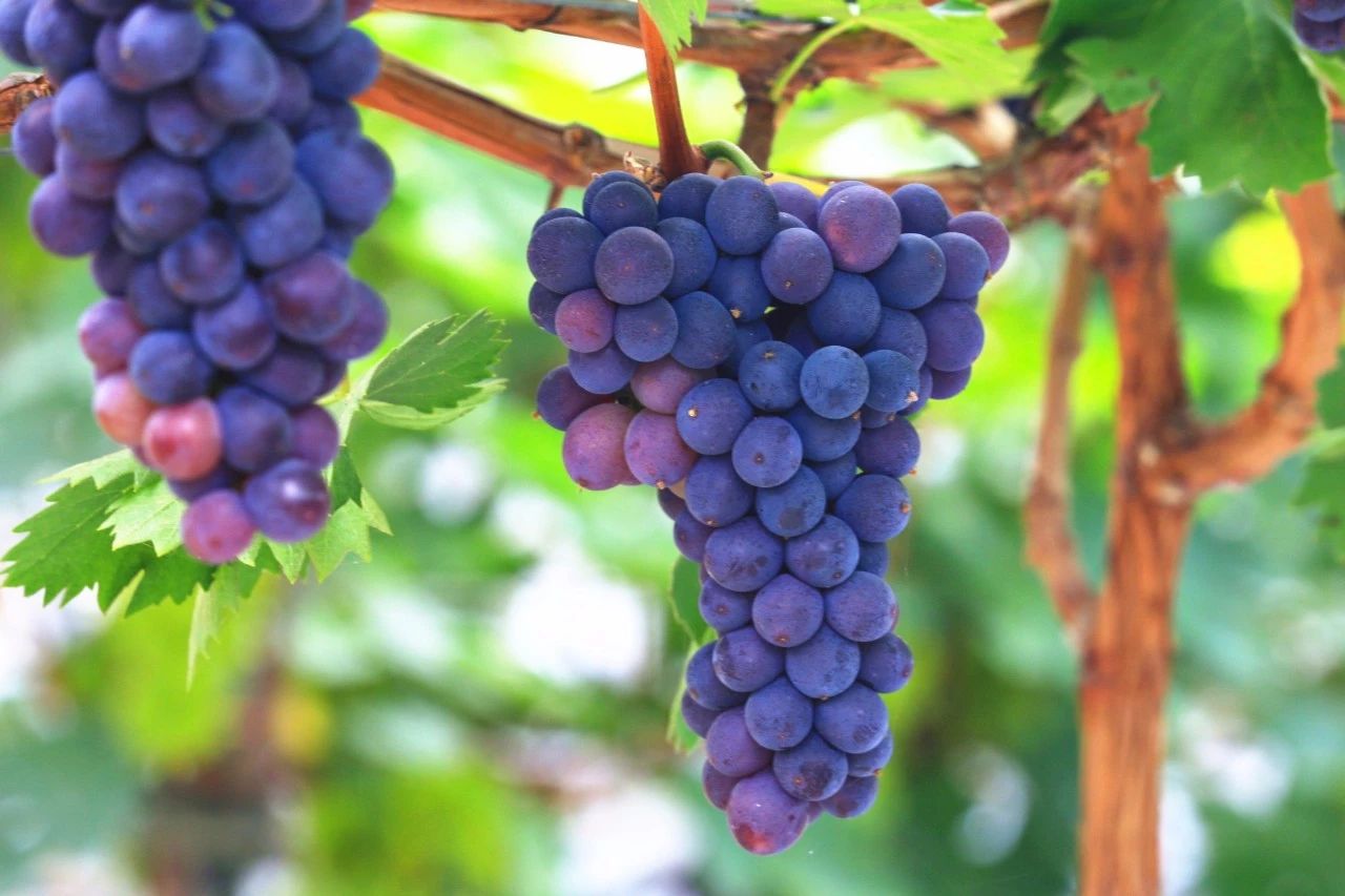 郑州约会好地方11佳！速度收藏，分分钟搞定女朋友！