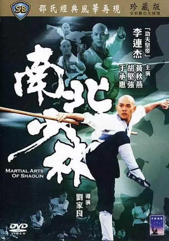 少林兄弟武侠电影,十大掌门闯少林武侠电影