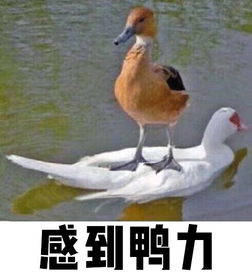 看完员工的鞋子，我哇地一声哭出来