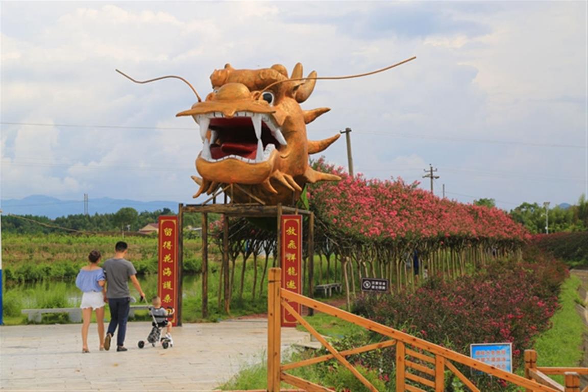 零陵百里花果生态风光带：紫薇花开迎客来