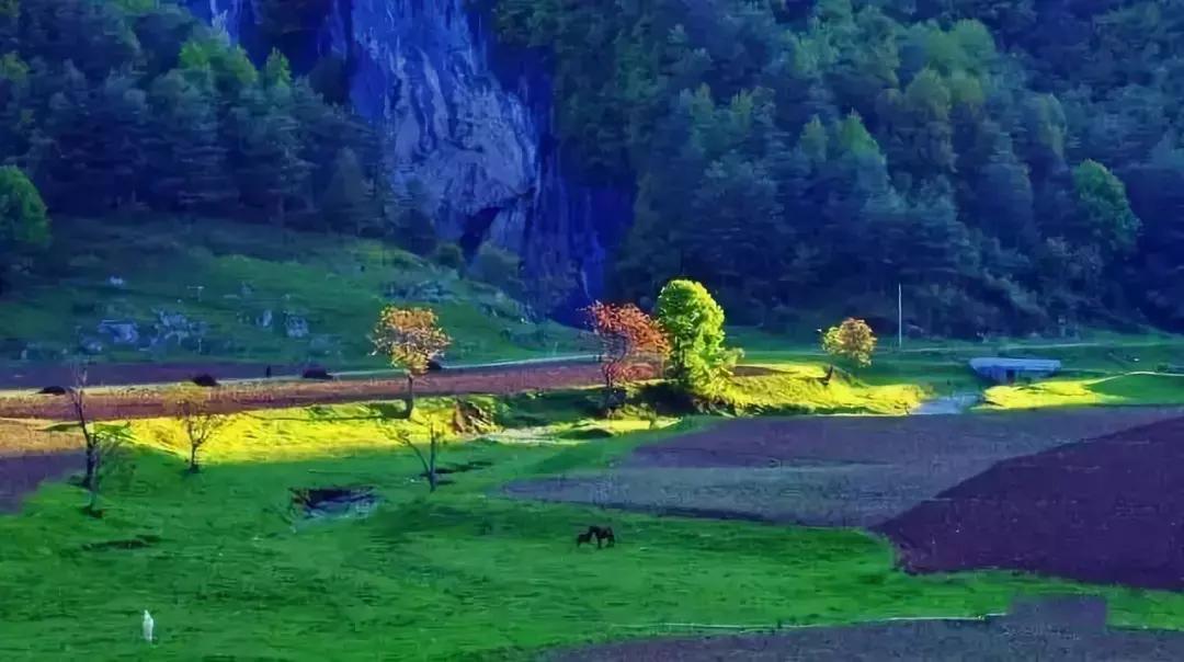 重庆本地人推荐去的地方夏天,重庆人少好玩的地方凉快推荐