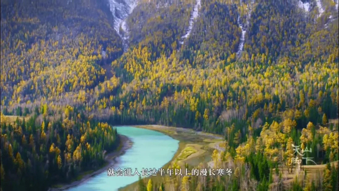 忘记那些不堪回首的人和事,忘记那些心酸的往事