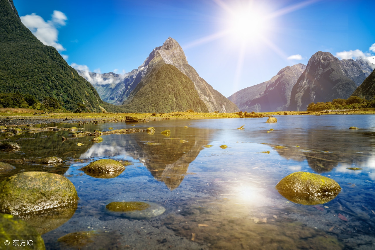 新西兰买房投资移民,新西兰投资移民投资到哪里