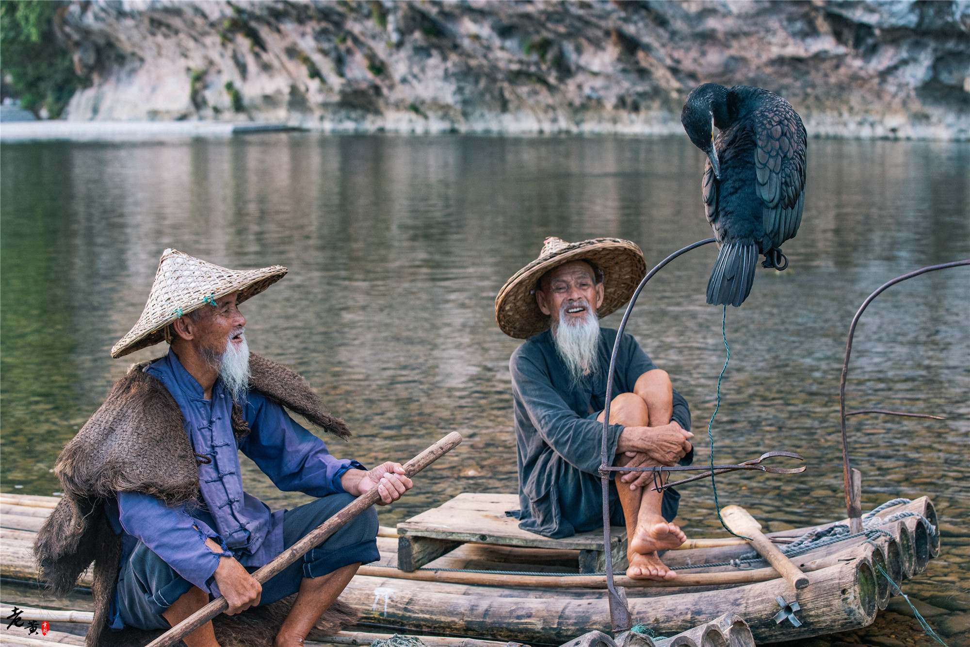 阳朔体验鱼鹰捕鱼,兴坪一日游之鸬鹚捕鱼记