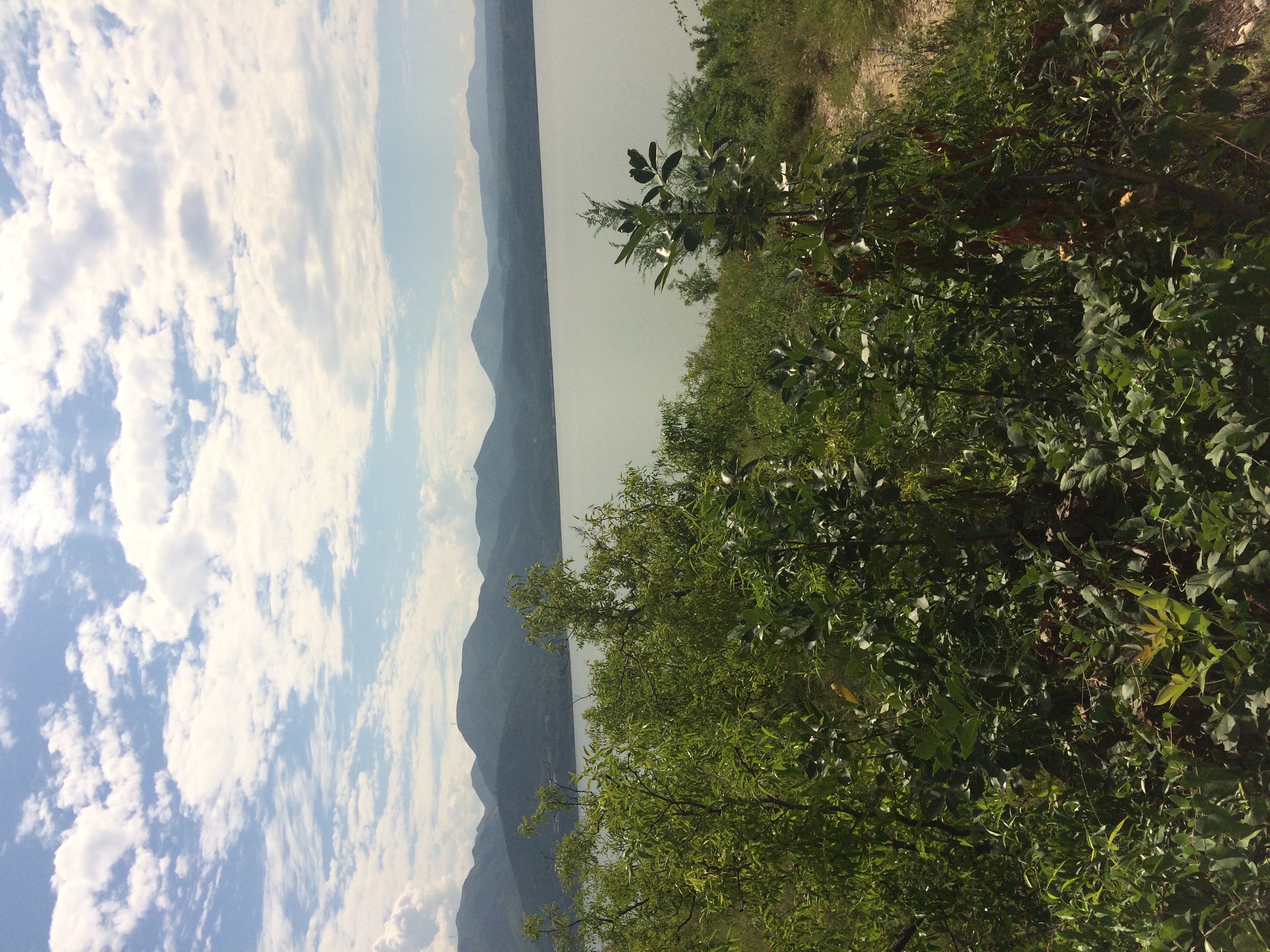 神仙难钓三月鲫,没有鱼饵料如何打窝