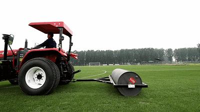 足球场是天然草还是人工草好,足球场天然草用什么草种