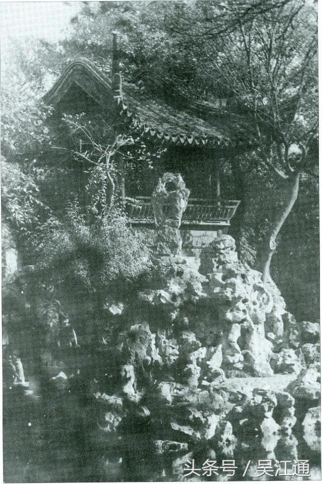 我的小学在线免费观看,我的小学在线播放