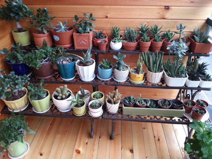 家里装修没那么好但是要干净,家里装修干净整洁