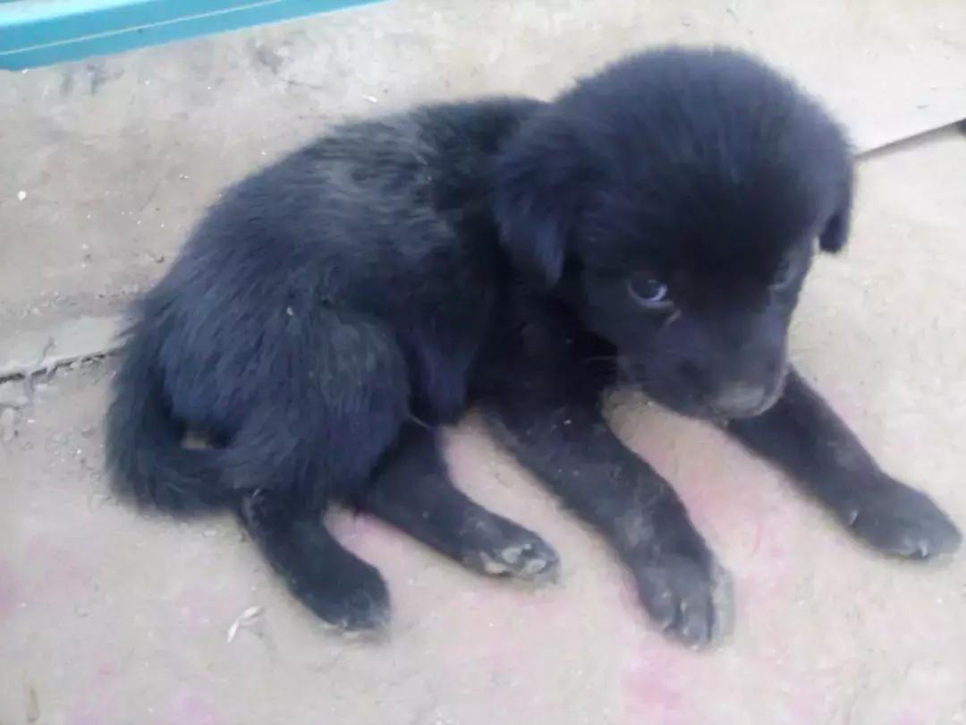 考研政治想上八十分选择题,政治考研怎么拿高分