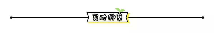 ysl跟阿玛尼口红哪个好,ysl口红和阿玛尼哪个好用