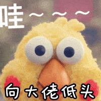 ysl必须有的口红,口红ysl好还是阿玛尼好