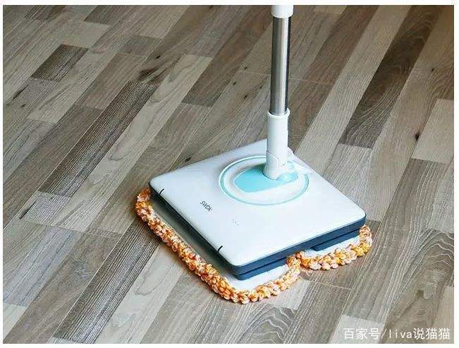 刚到家的小奶猫需要去医院吗,刚接回来的小奶猫容易得的传染病