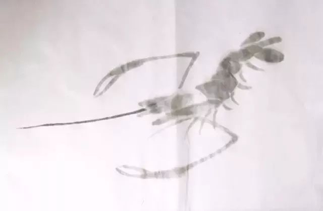 简单的画虾教程儿童,最简单的画虾的方法