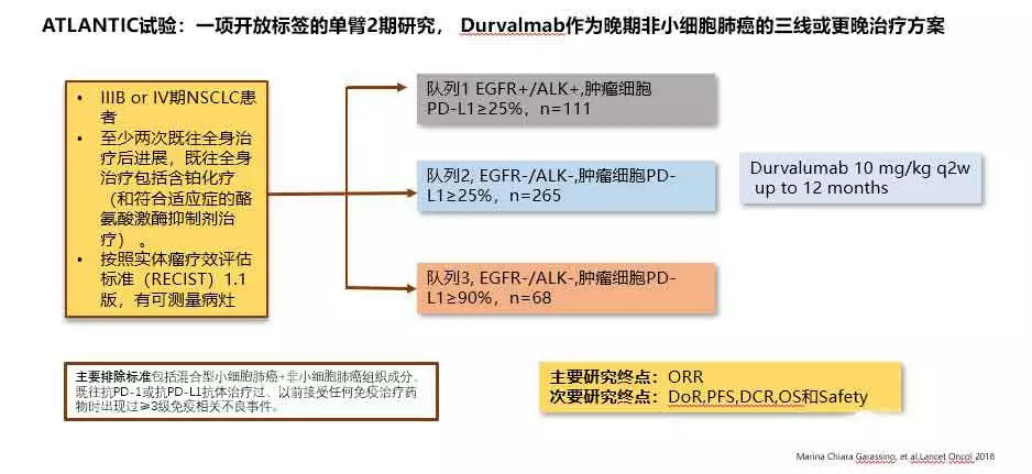 EGFR突变的肺癌到底能不能用免疫治疗？