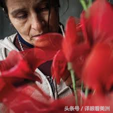 墨西哥43名学生生死不明,引起世界民愤,新总统第一战要解决悬案