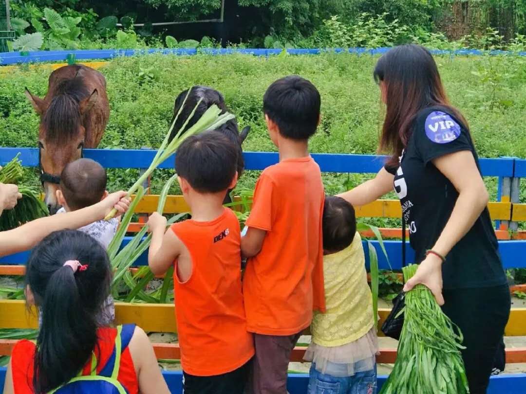 深圳碧桂园新项目,碧桂园田园里东区