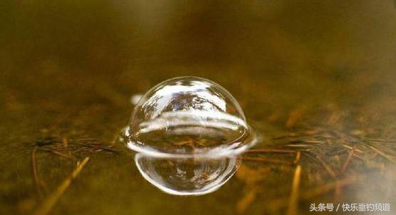 钓鱼技巧和口诀一览表,钓鱼十八招