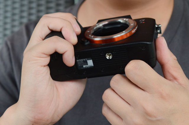 尼康z7腾龙150-500镜头评测,尼康z7ii画质评测