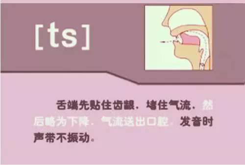 英语48个音标发音详细教程,英语48个音标的正确发音和技巧